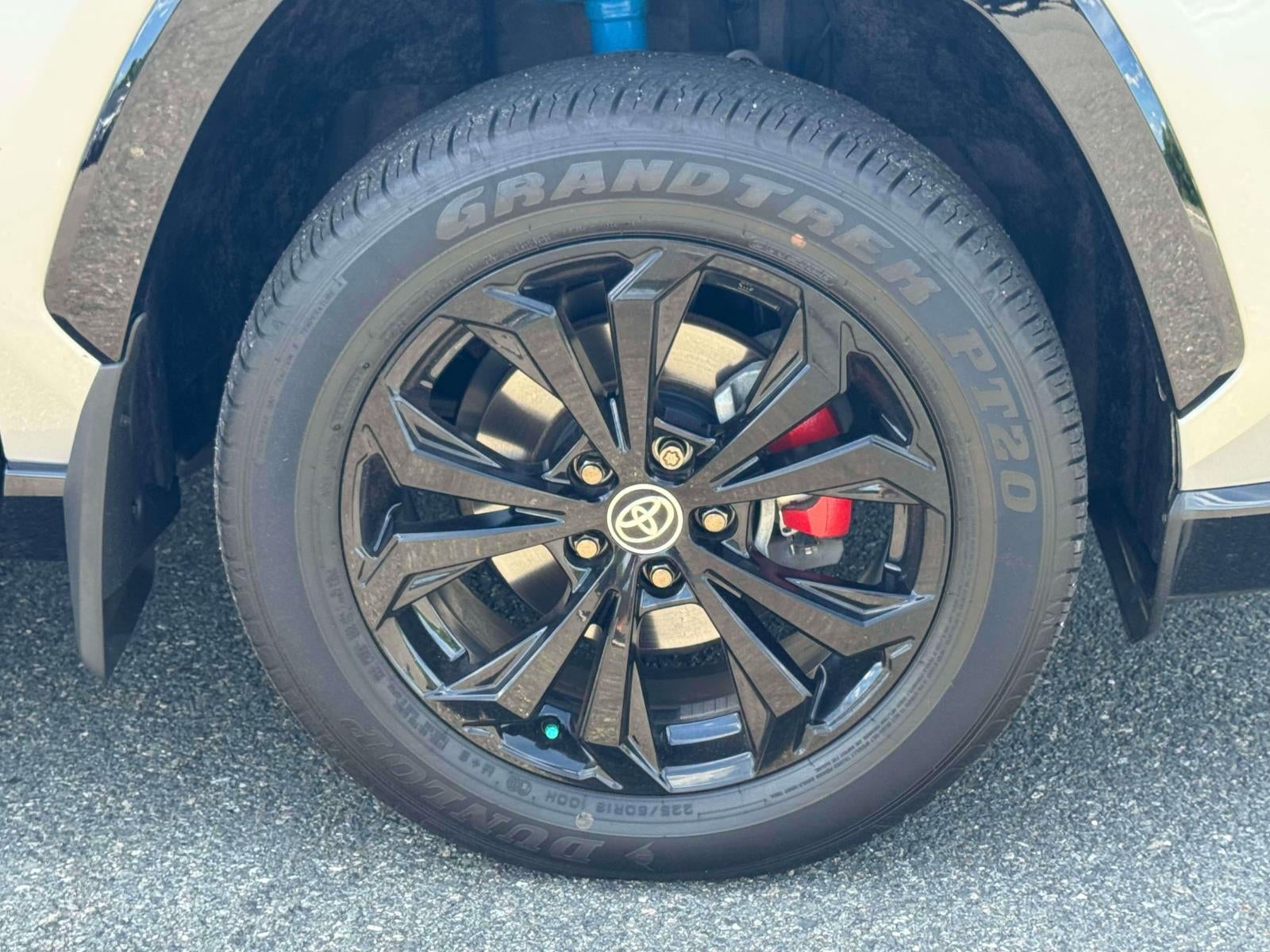 2024 Toyota RAV4 Hybrid SE AWD (Natl)