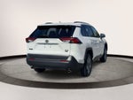 2023 Toyota RAV4 XLE AWD (Natl)