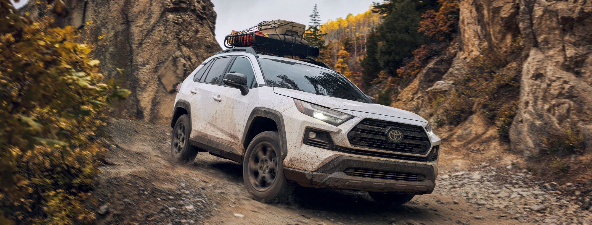 Toyota World of Newton in Newton NJ