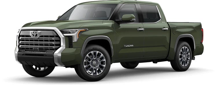 2022 Toyota Tundra Limited in Army Green | Toyota World of Newton in Newton NJ