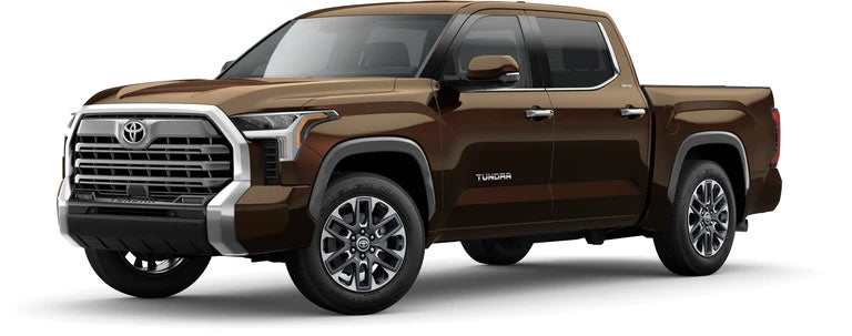 2022 Toyota Tundra Limited in Smoked Mesquite | Toyota World of Newton in Newton NJ