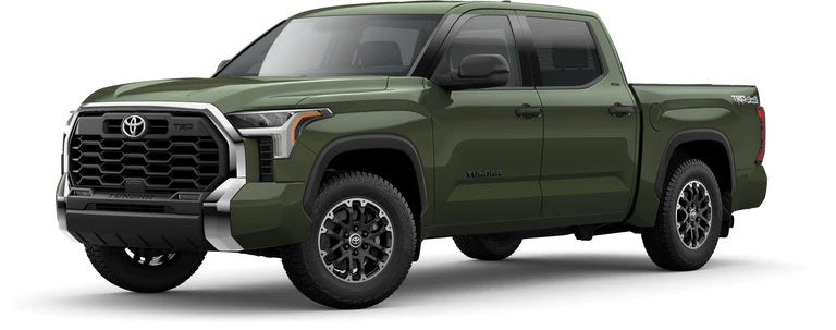 2022 Toyota Tundra SR5 in Army Green | Toyota World of Newton in Newton NJ