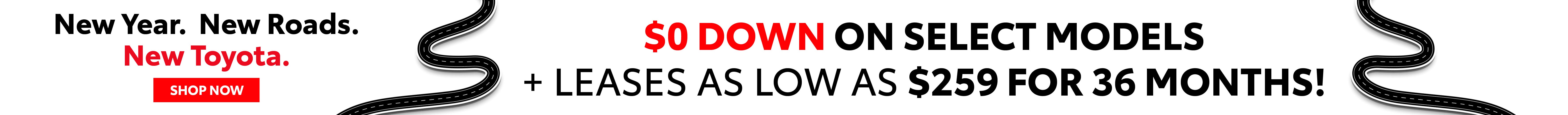 Toyota World of Newton SepLease Banner Desktop