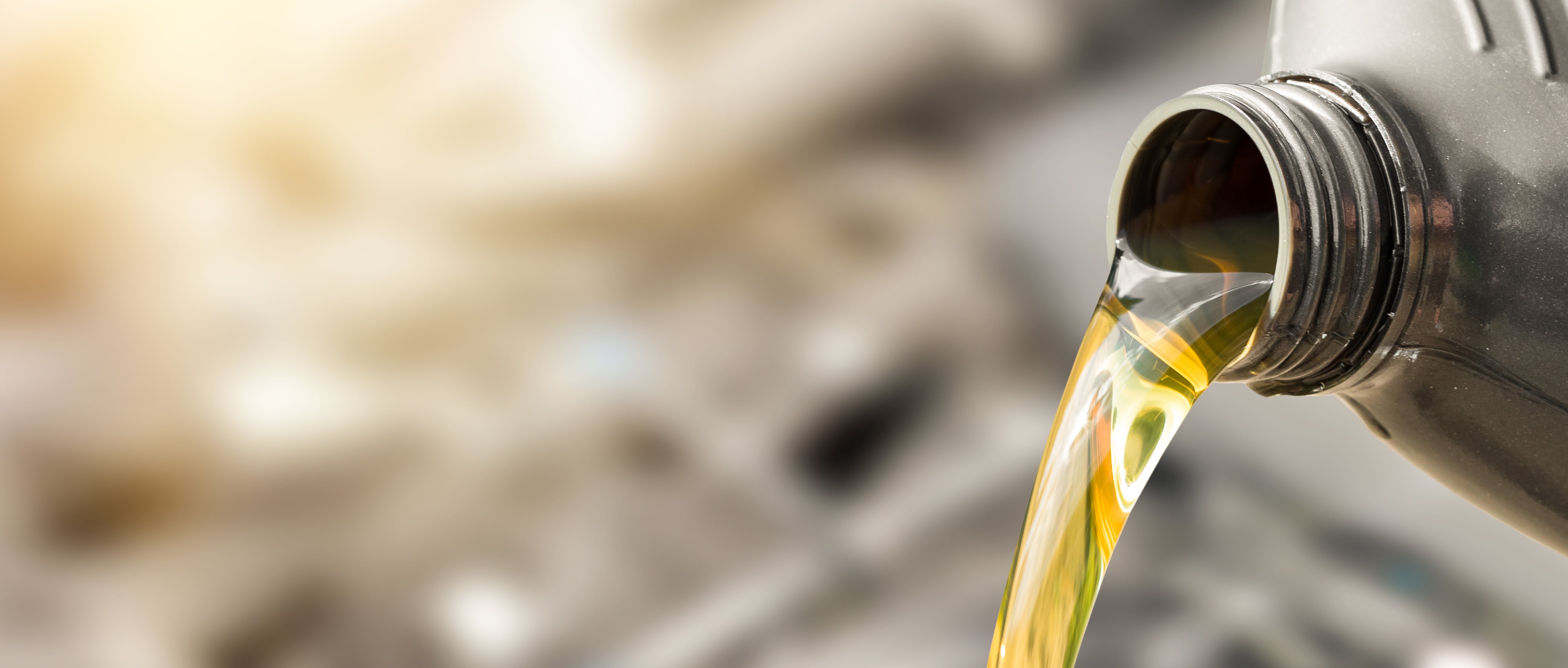 Any Oil & Filter Change